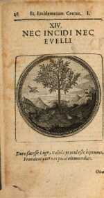 Vol. 01, 00028