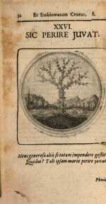 Vol. 01, 00052