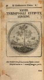 Vol. 01, 00056