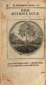 Vol. 01, 00058