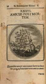 Vol. 01, 00068