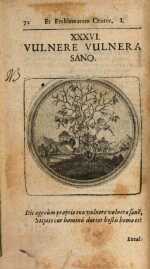 Vol. 01, 00072