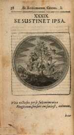 Vol. 01, 00078