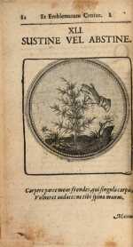Vol. 01, 00082