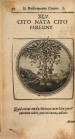 Vol. 01, 00090
