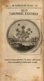 Vol. 01, 00092