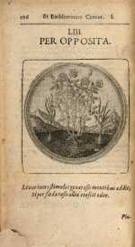Vol. 01, 00106