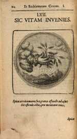 Vol. 01, 00114