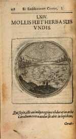 Vol. 01, 00128