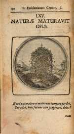 Vol. 01, 00130