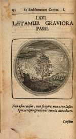 Vol. 01, 00132