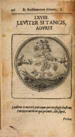 Vol. 01, 00136