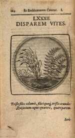 Vol. 01, 00164