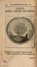 Vol. 01, 00172