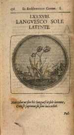 Vol. 01, 00176