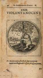 Vol. 02, 00046