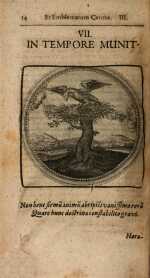 Vol. 03, 00014