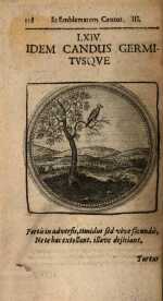 Vol. 03, 00128