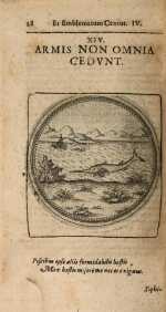 Vol. 04, 00028