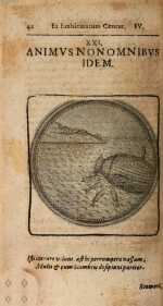 Vol. 04, 00042
