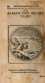 Vol. 04, 00118