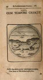 Vol. 04, 00132