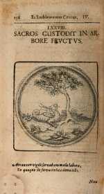 Vol. 04, 00156