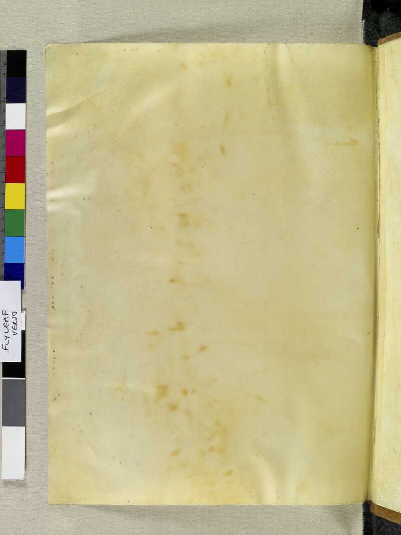 VAMSFlyleaf_versoN_0830