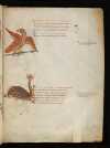 Bern 88, page 6r