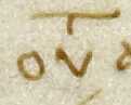 abbreviation